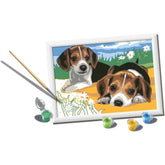 CreArt Serie D - Cuccioli Jack Russell